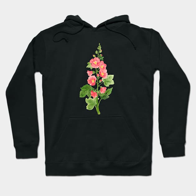 June 23rd birthday flower Hoodie by birthflower